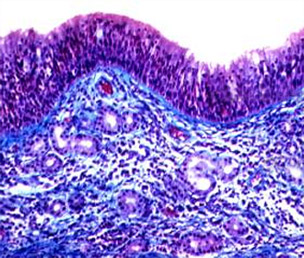 �����³��д���Ǻ�ҽԺ